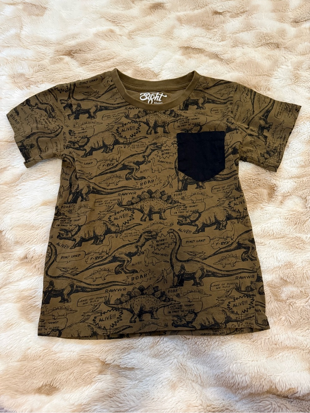 Boy’s Dino Print Tee